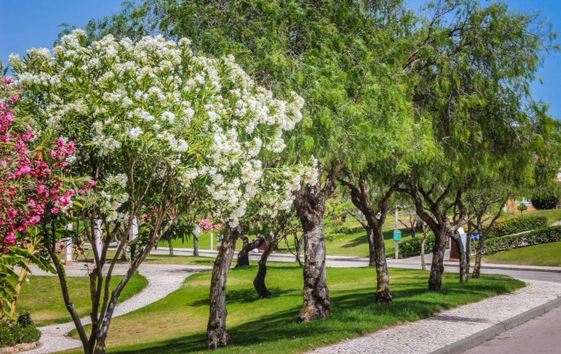 Áreas de lazer e jardins Colina Hotels