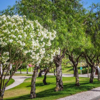 Jardim  Colina da Lapa & Villas Carvoeiro Jardim  Colina da Lapa & Villas Carvoeiro