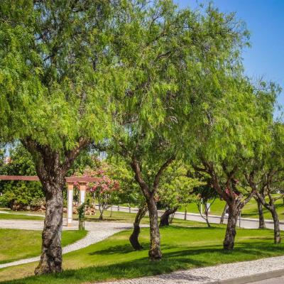 Jardim  Colina da Lapa & Villas Carvoeiro Jardim  Colina da Lapa & Villas Carvoeiro