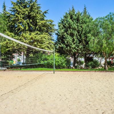 Atividades  Colina da Lapa & Villas Carvoeiro Atividades  Colina da Lapa & Villas Carvoeiro